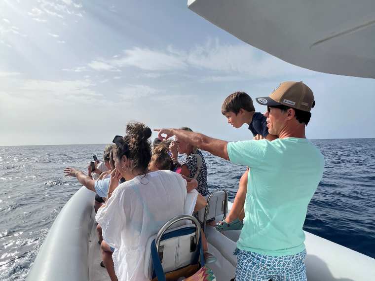 Wale und Delfine beobachten in Morro Jable Fuerteventura